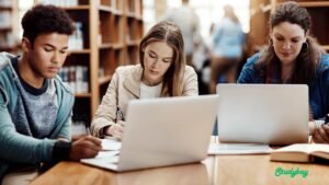 Os Serviços de Apoio ao TCC Online